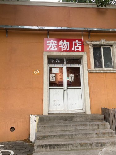 宠物店