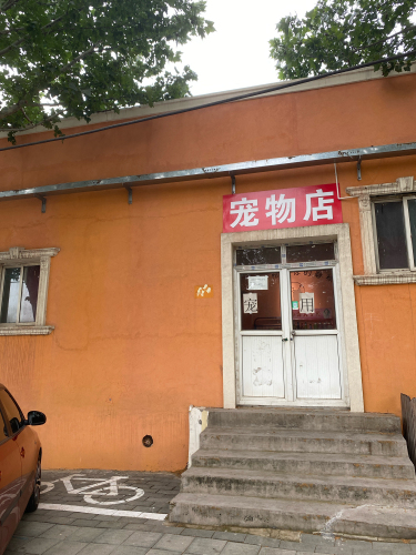 宠物店