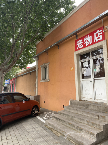 宠物店
