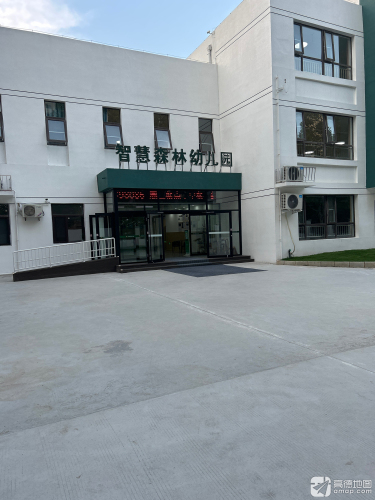智慧森林幼儿园