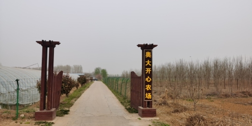 奥大开心农场