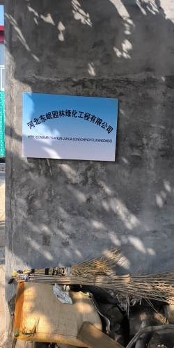 河北东岷园林绿化工程有限公司