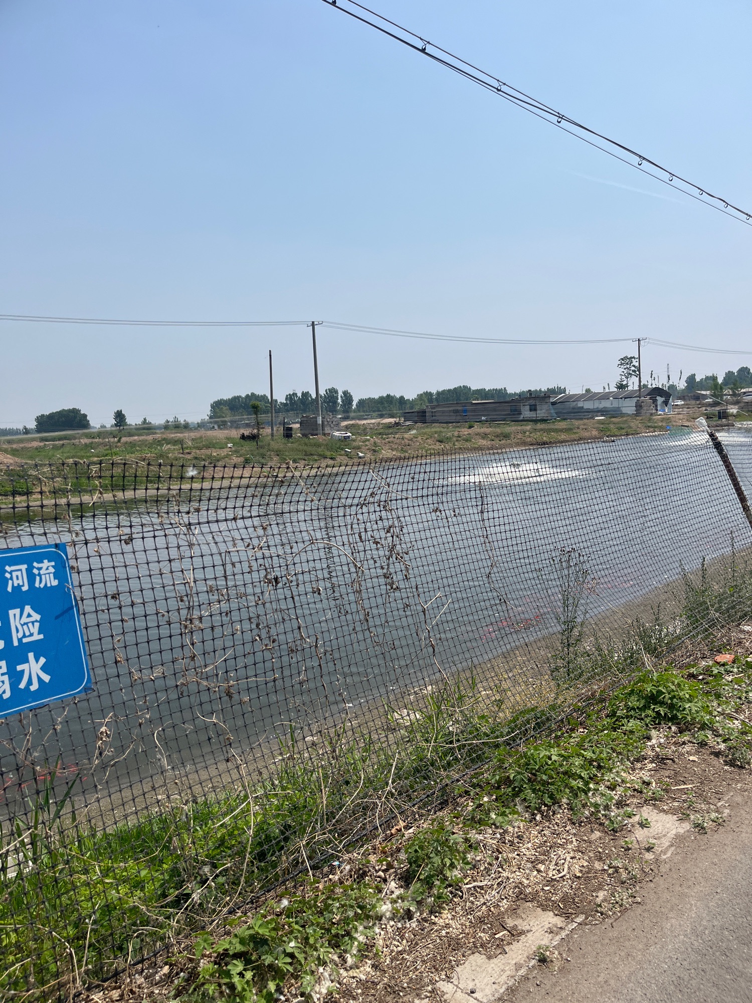 欣兴观赏鱼养殖基地