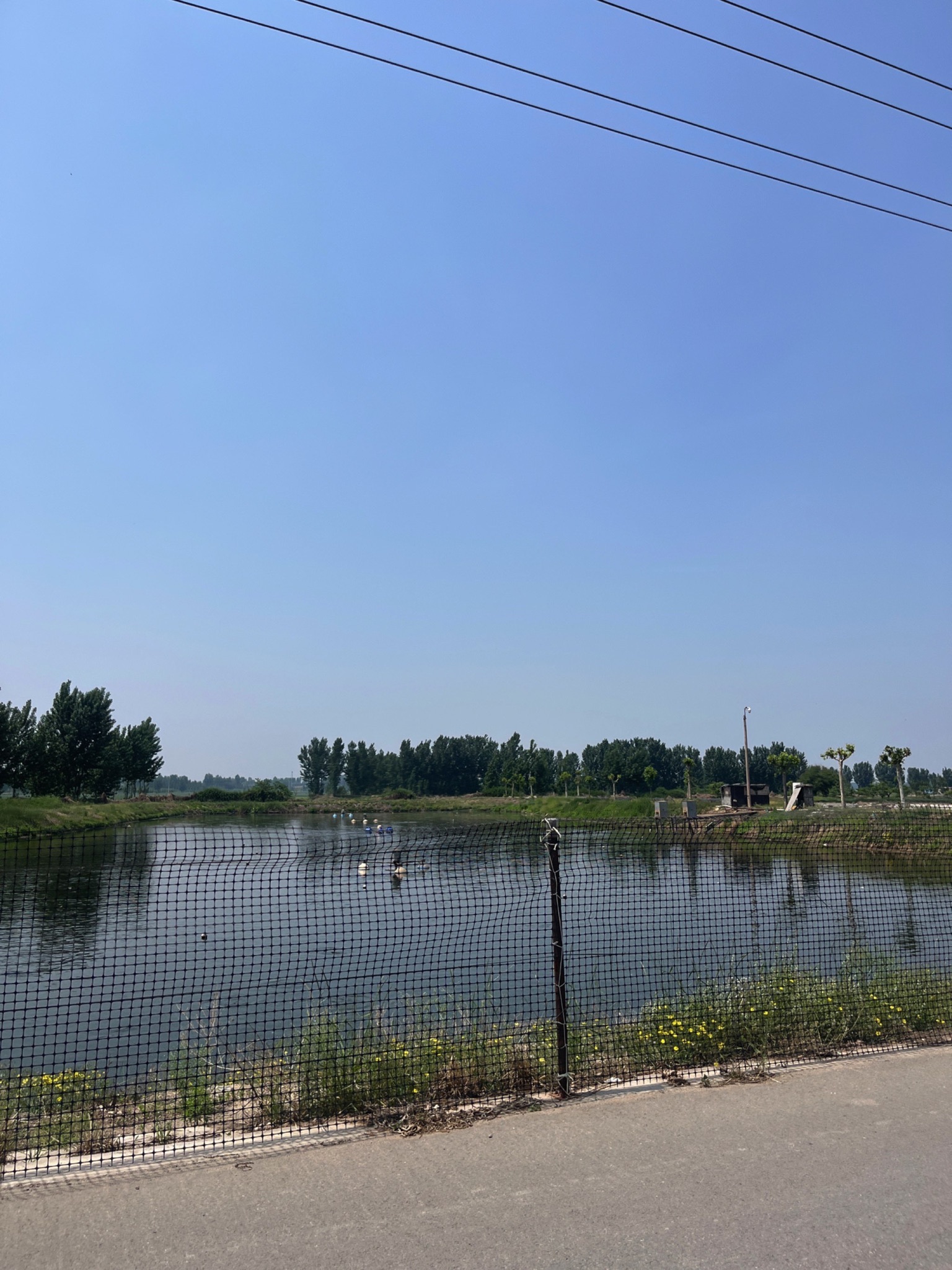 欣兴观赏鱼养殖基地