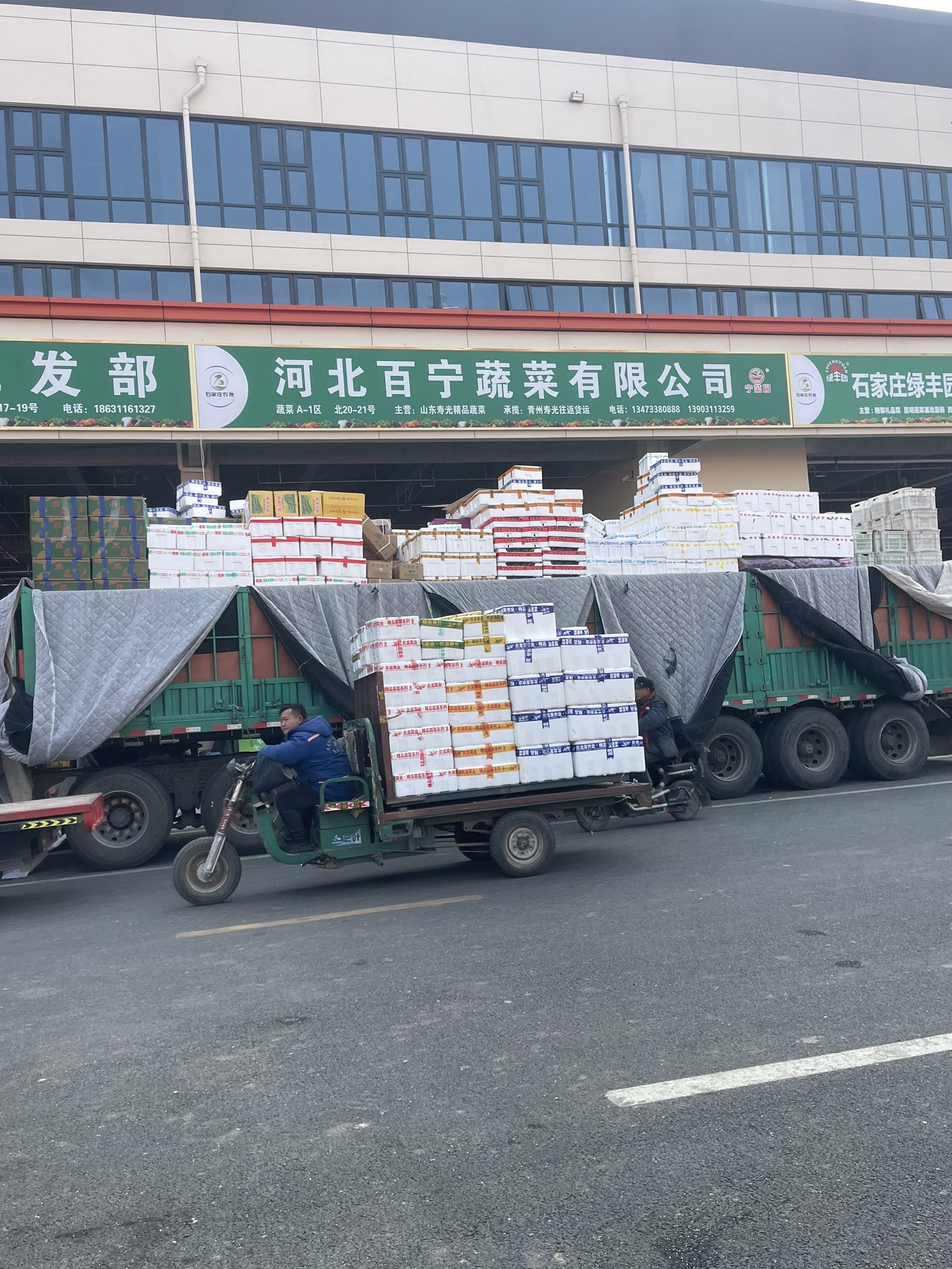 河北百宁蔬菜有限公司