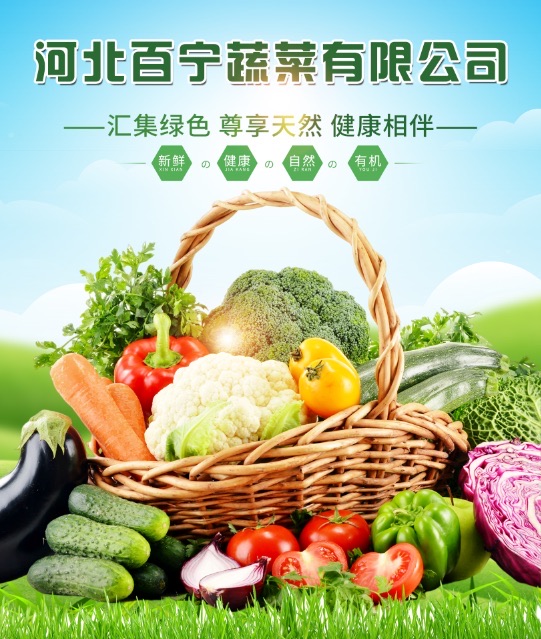 河北百宁蔬菜有限公司