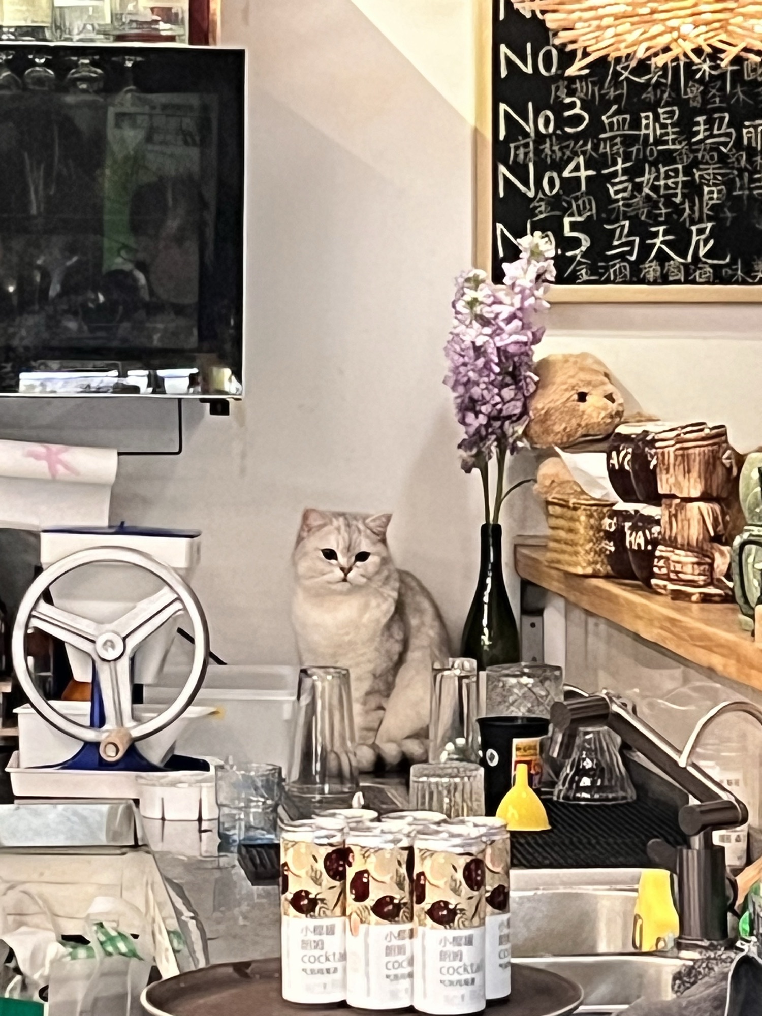 猫毛酒馆&906connection(益庄店)