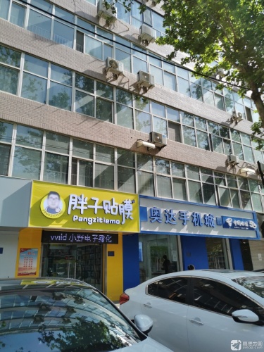 胖子贴膜无极店