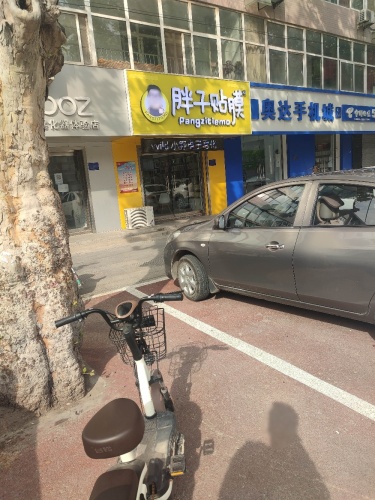 胖子贴膜无极店
