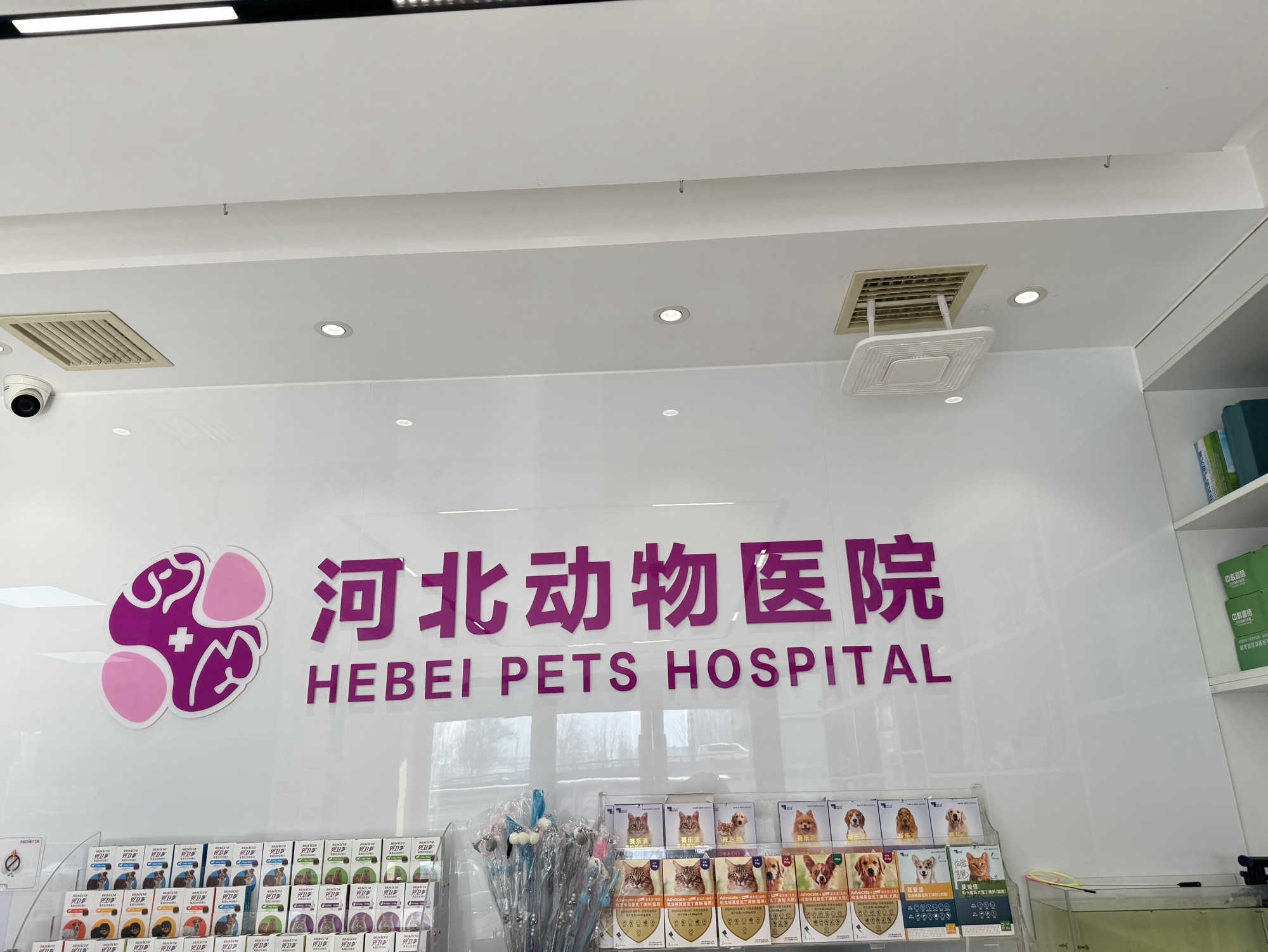 河北动物医院24小时CT微创异宠肿瘤外科(和平店)