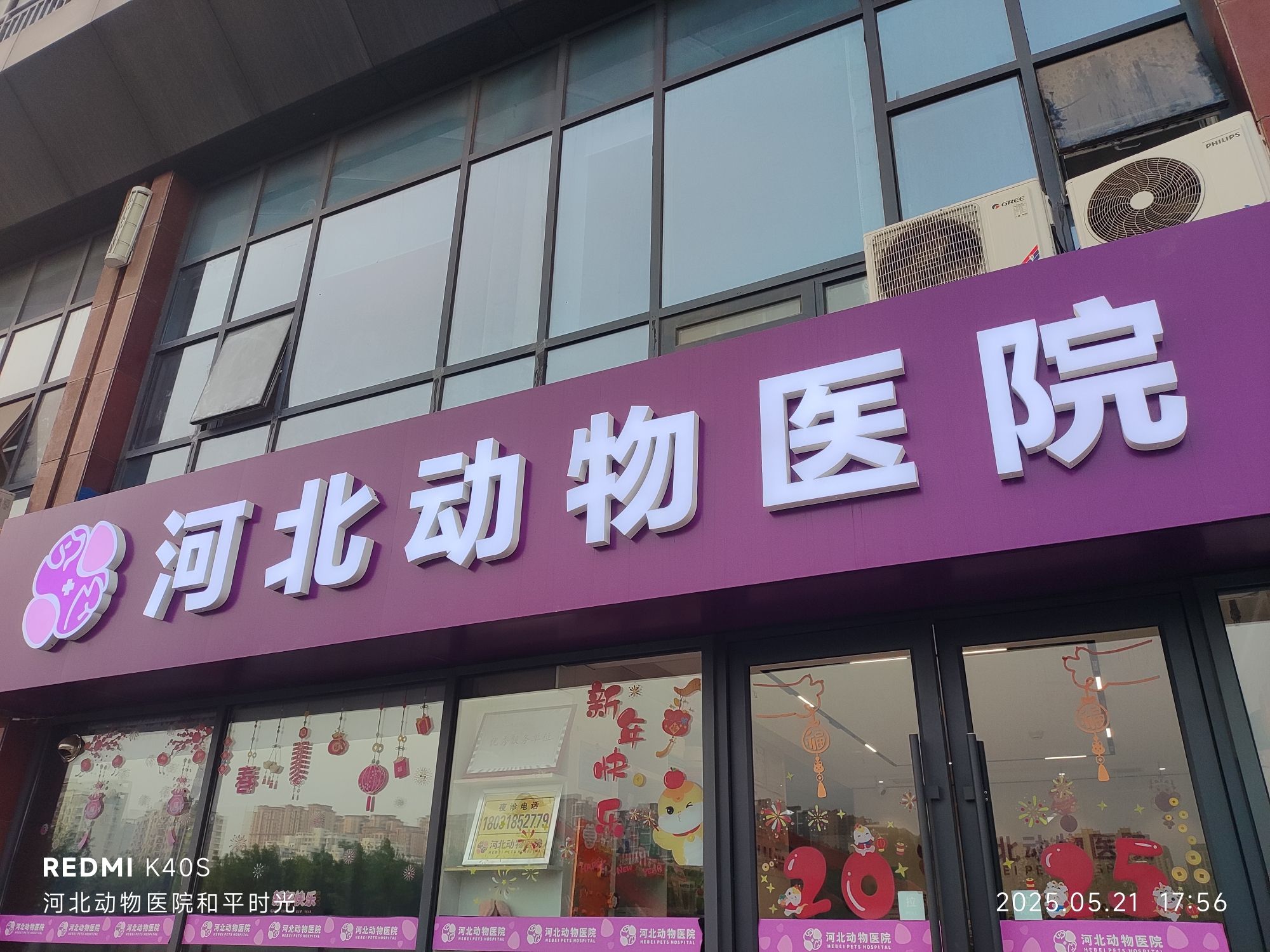 河北动物医院24小时CT微创异宠肿瘤外科(和平店)