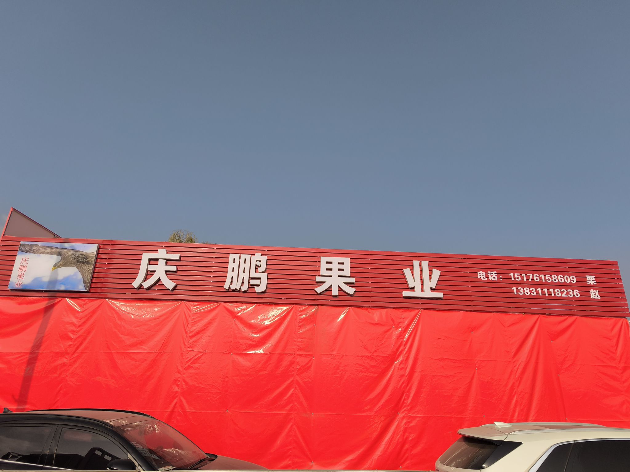 庆鹏果业水果批发