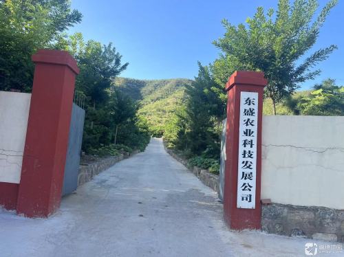 东盛农业科技发展公司