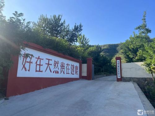 东盛农业科技发展公司