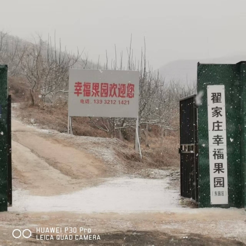 井陉县翟家庄幸福果园(东园区)
