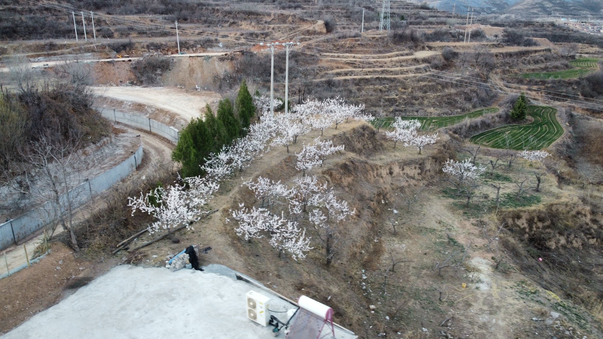 石板片果园