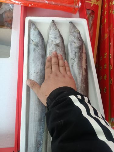 台西涛涛水产店