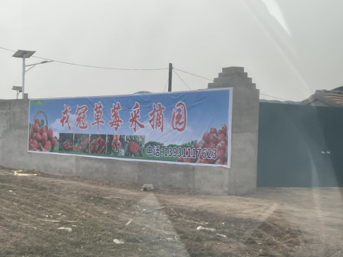 戎冠草莓采摘园