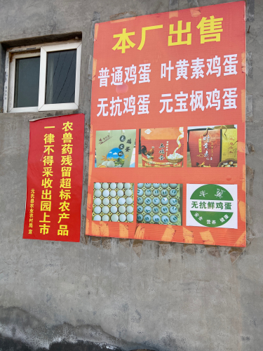 东贾旭东养鸡场