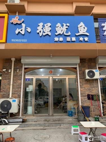 小强鱿鱼