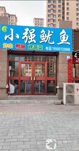 小强鱿鱼