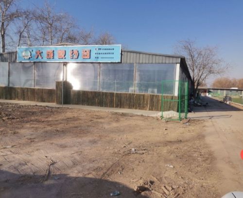 河北大成象门窗科技有限公司