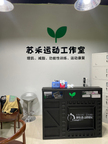 苏禾运动工作室