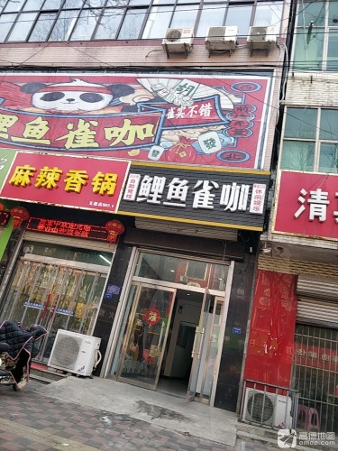 鲤鱼雀咖