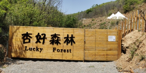 杏好森林·山谷营地