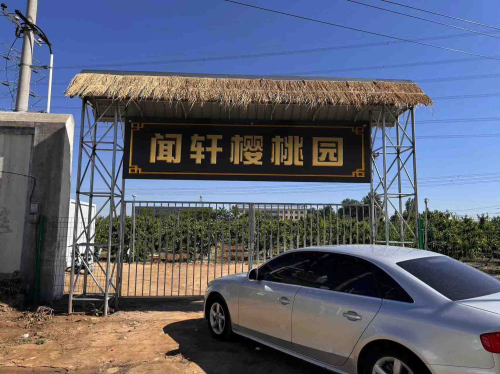 闻轩樱桃园