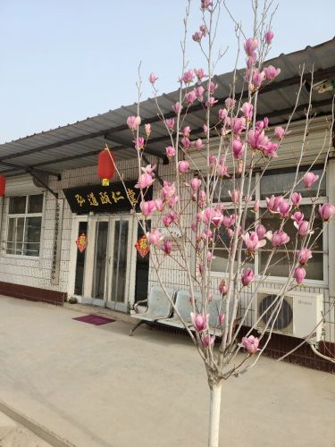 弘道颐仁堂子位店