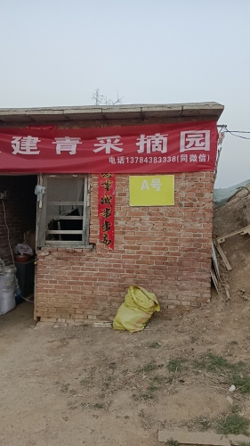 张建青采摘园