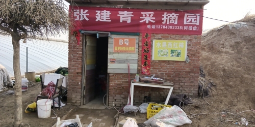 张建青采摘园