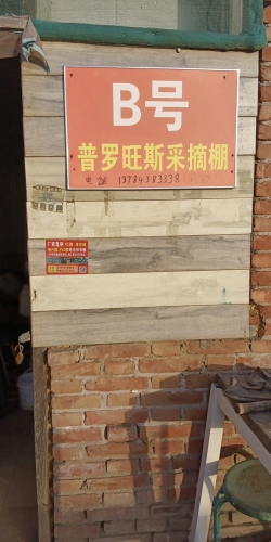 张建青采摘园