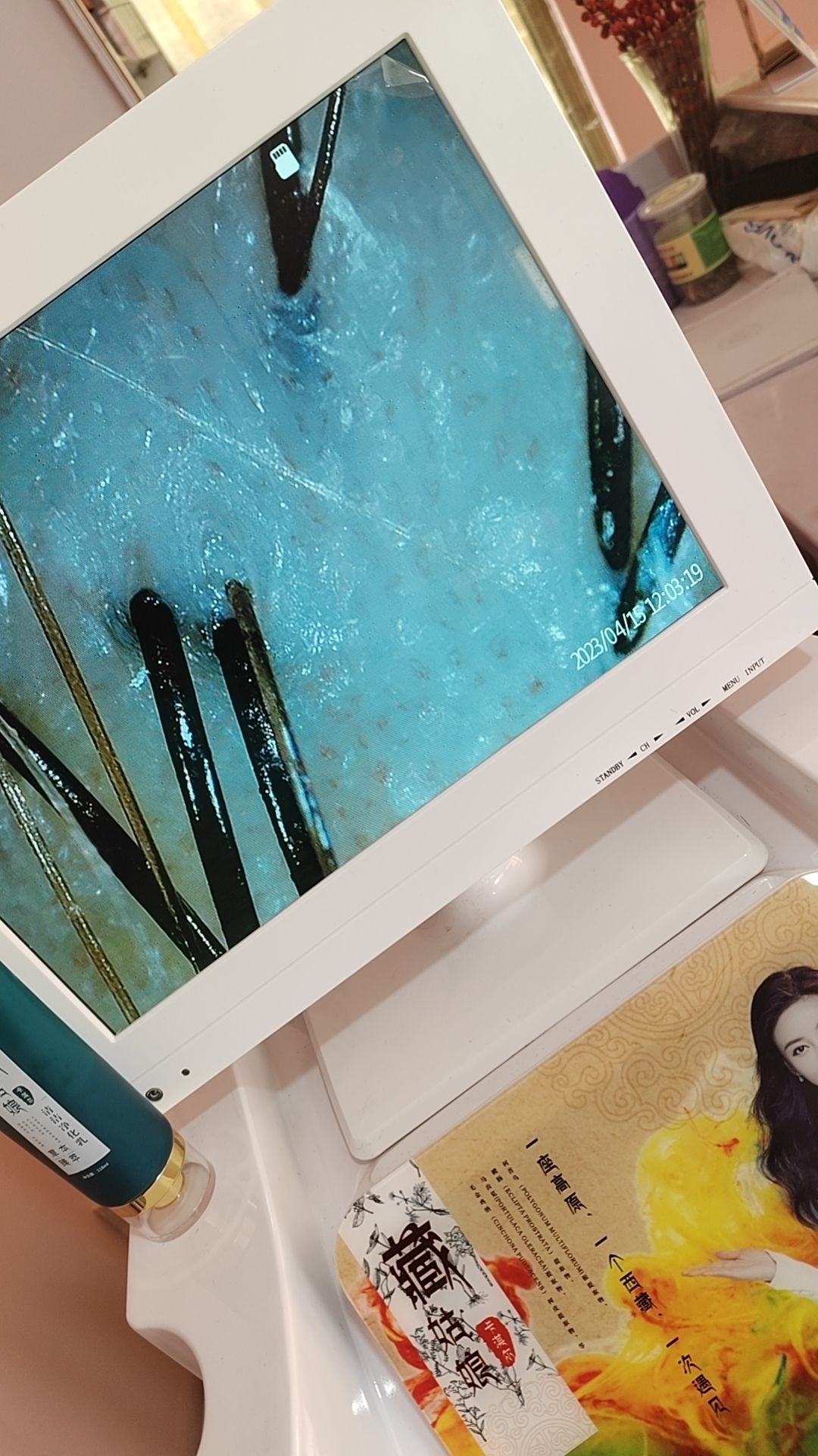 永珍艺剪