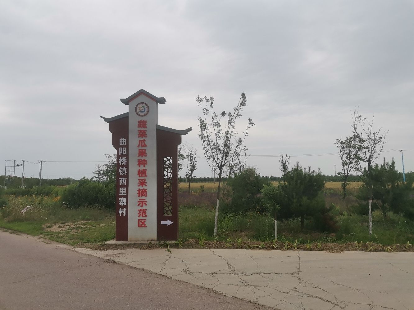 西里寨蔬菜瓜果种植示范区