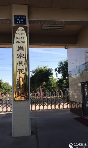 肖家营花卉基地