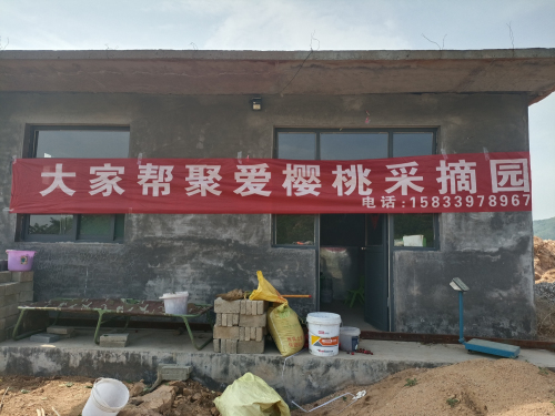 大家帮聚爱樱桃采摘园