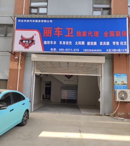 丽车卫