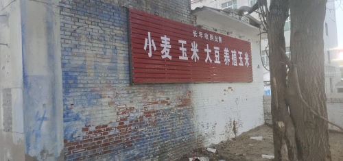 粮鑫粮食收购站