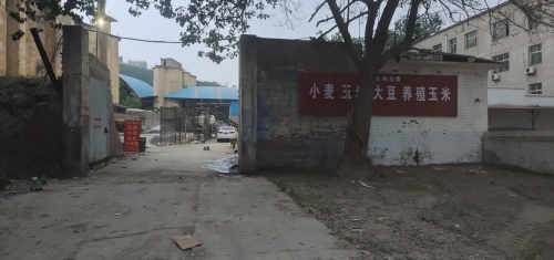 粮鑫粮食收购站