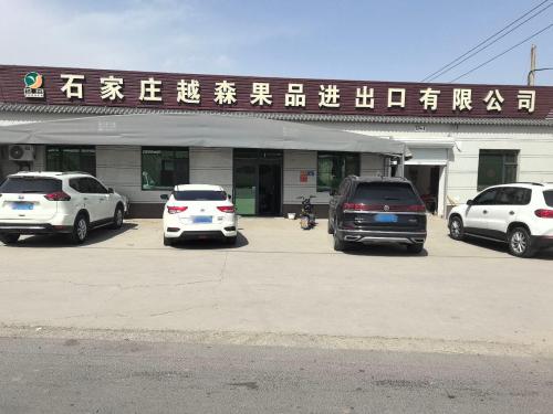 石家庄越森果品进出口有限公司