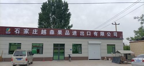 石家庄越森果品进出口有限公司