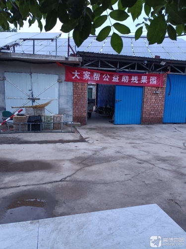 大家帮公益助残果园