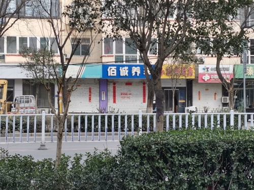 佰诚养车