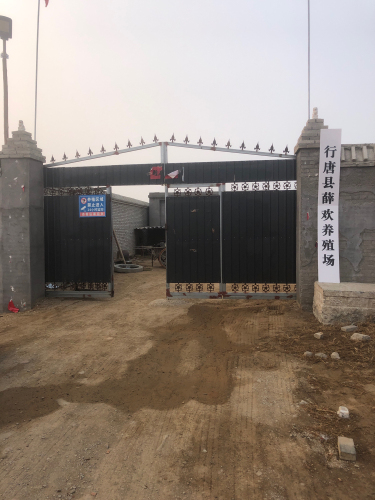 行唐县薛欢养殖场