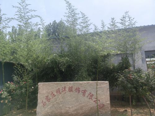 石家庄明洋服饰有限公司