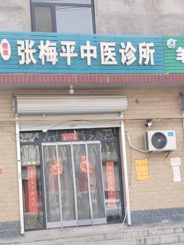 鹿泉张梅平中医诊所
