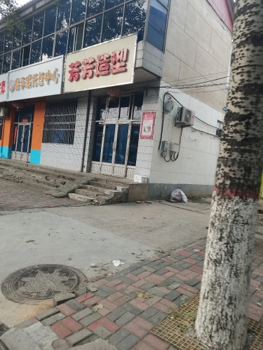 芳芳造型