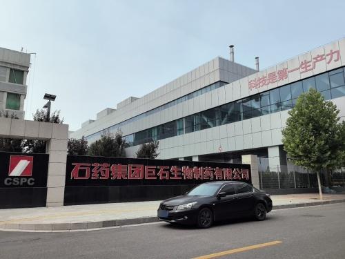 石药集团巨石生物制药有限公司